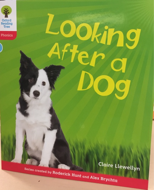 Oxford Reading Tree Level 4: Looking After a Dog