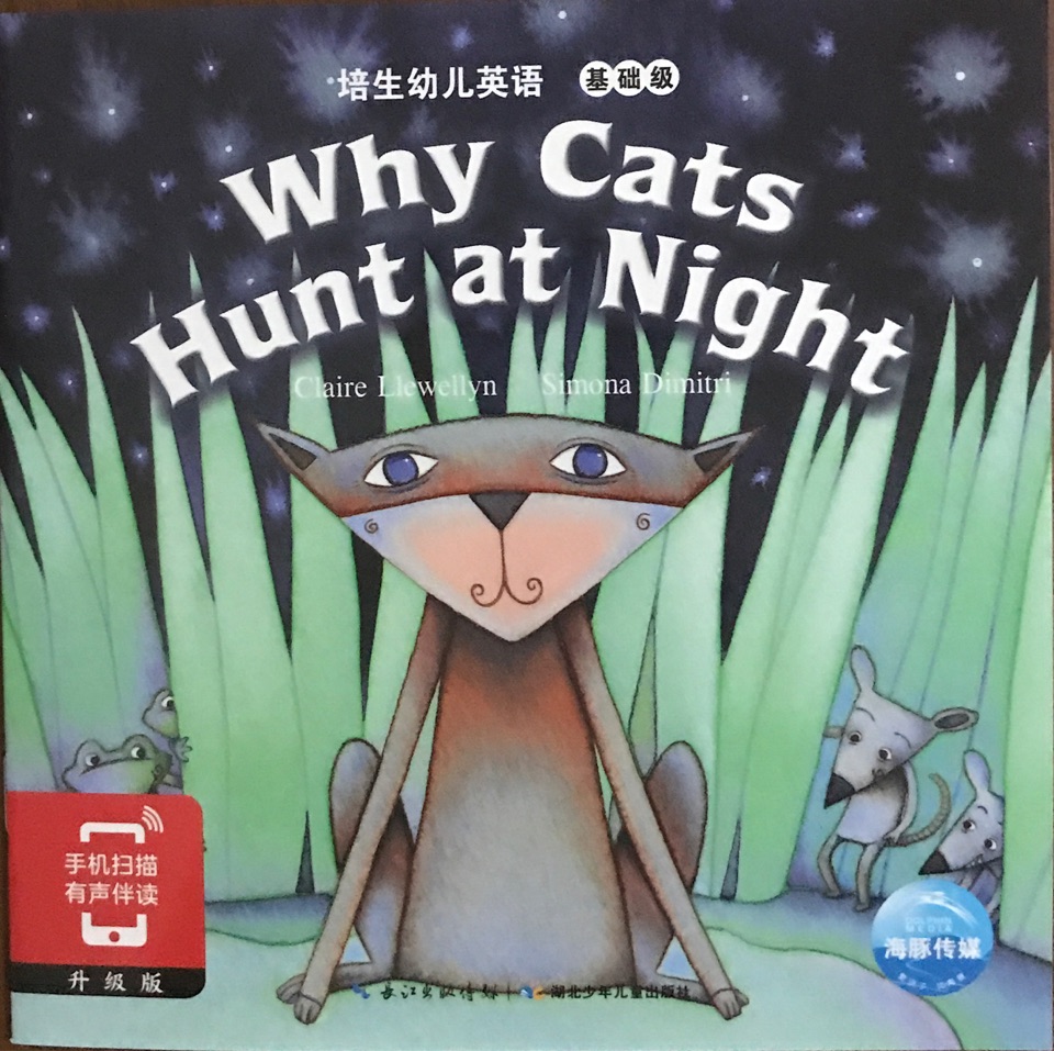 Why Cats Hunt at Night