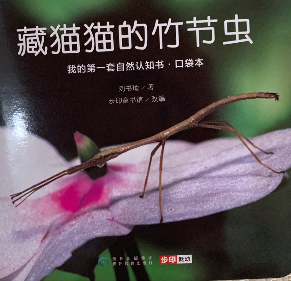 我的第一套自然認知書·口袋本-藏貓貓的竹節(jié)蟲