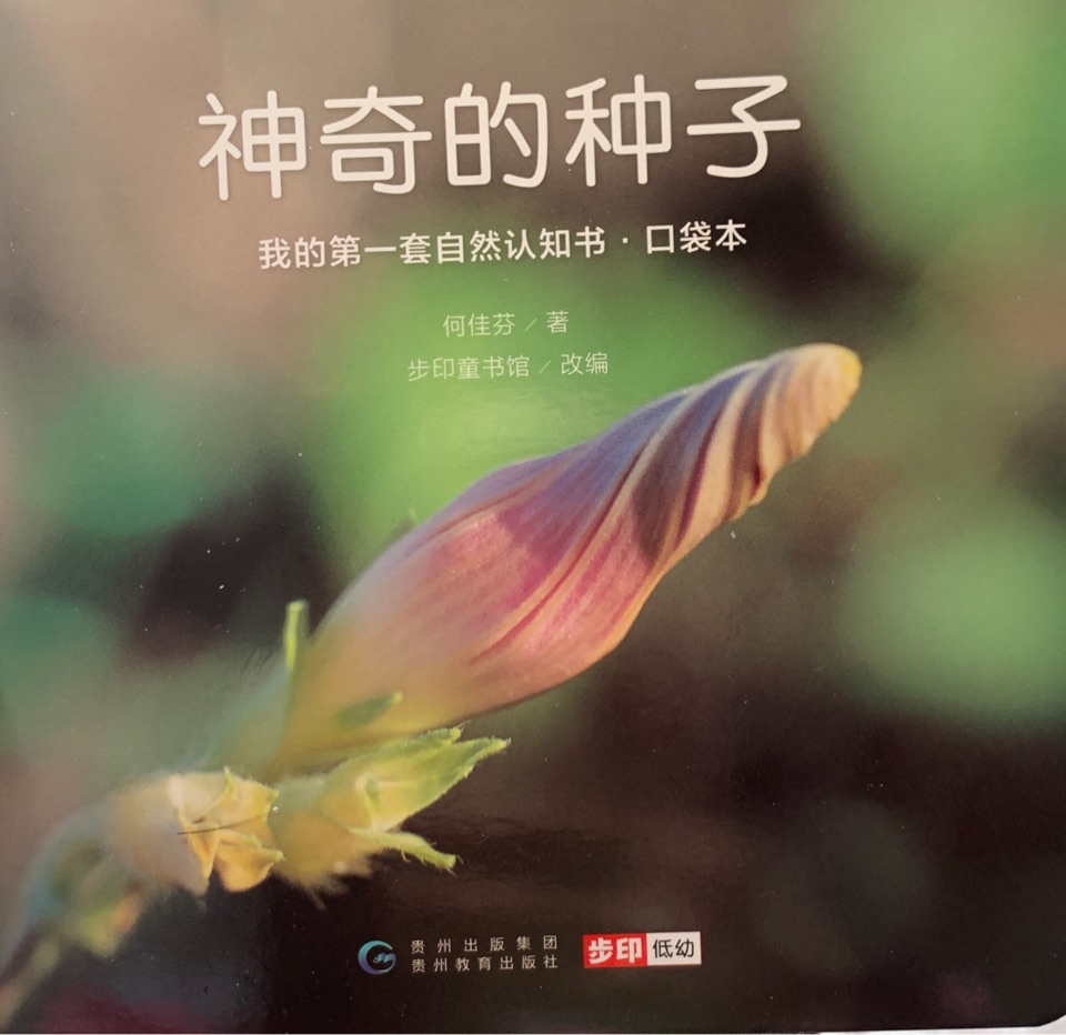 我的第一套自然認(rèn)知書·口袋本-神奇的種子