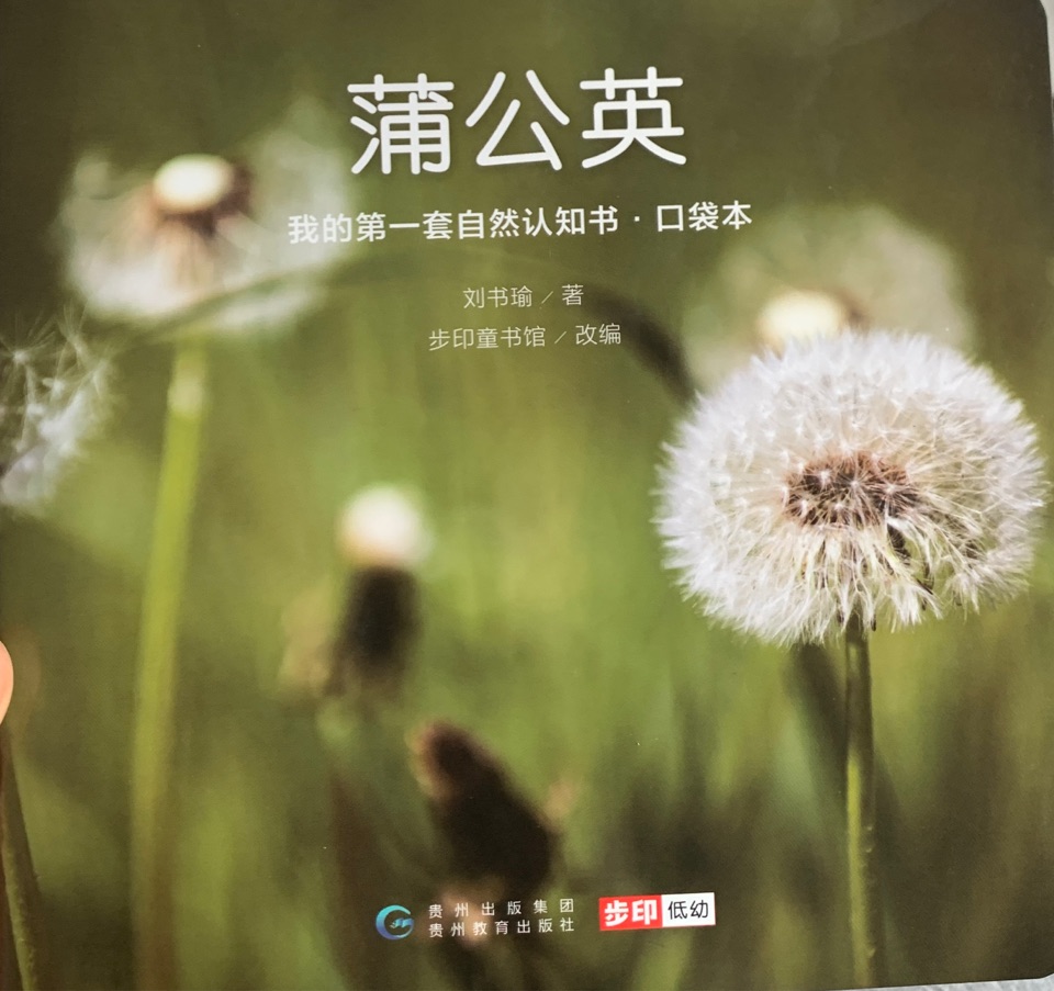 我的第一套自然認知書·口袋本-蒲公英