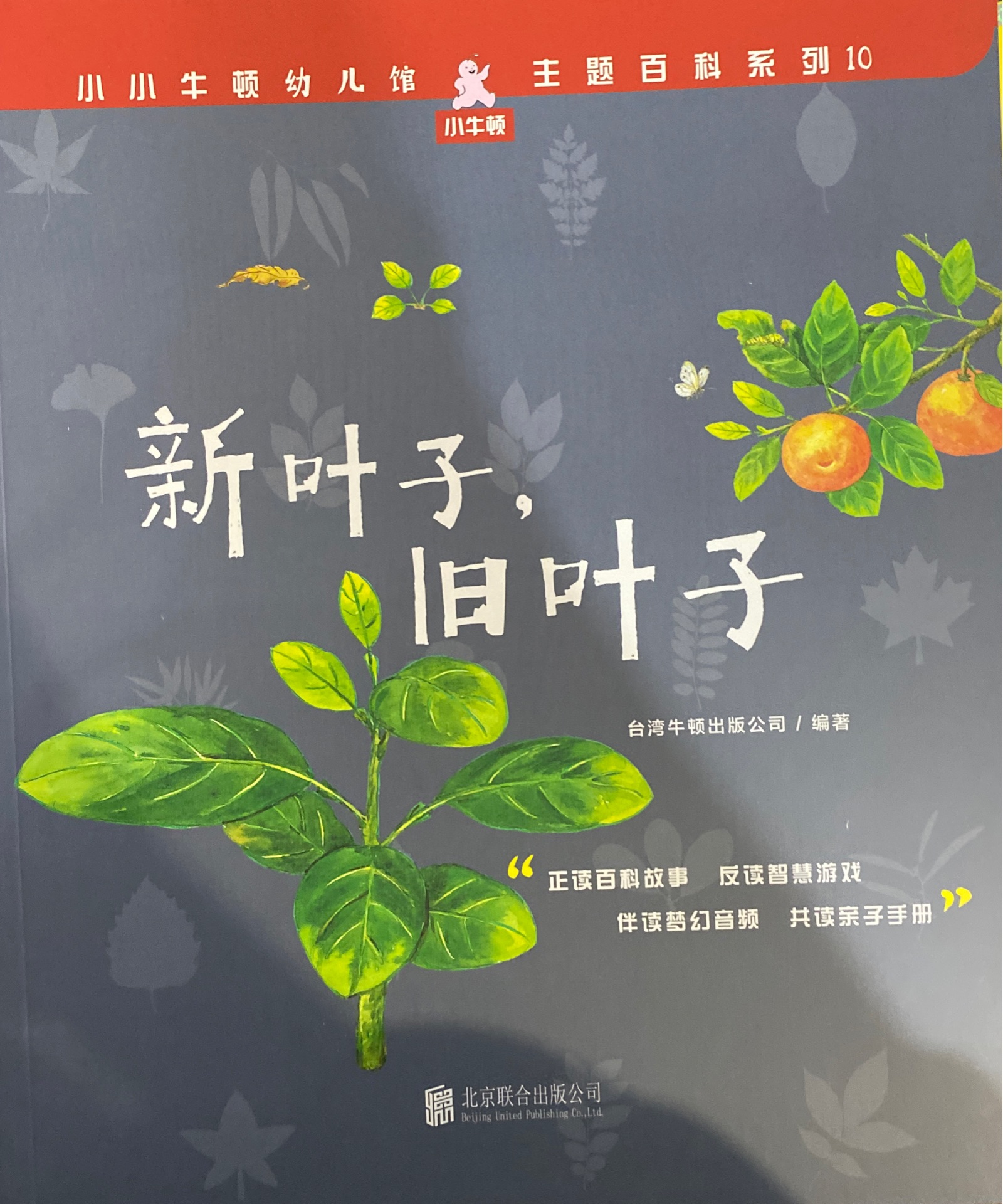 小小牛頓幼兒館·主題百科系列10: 新葉子, 舊葉子