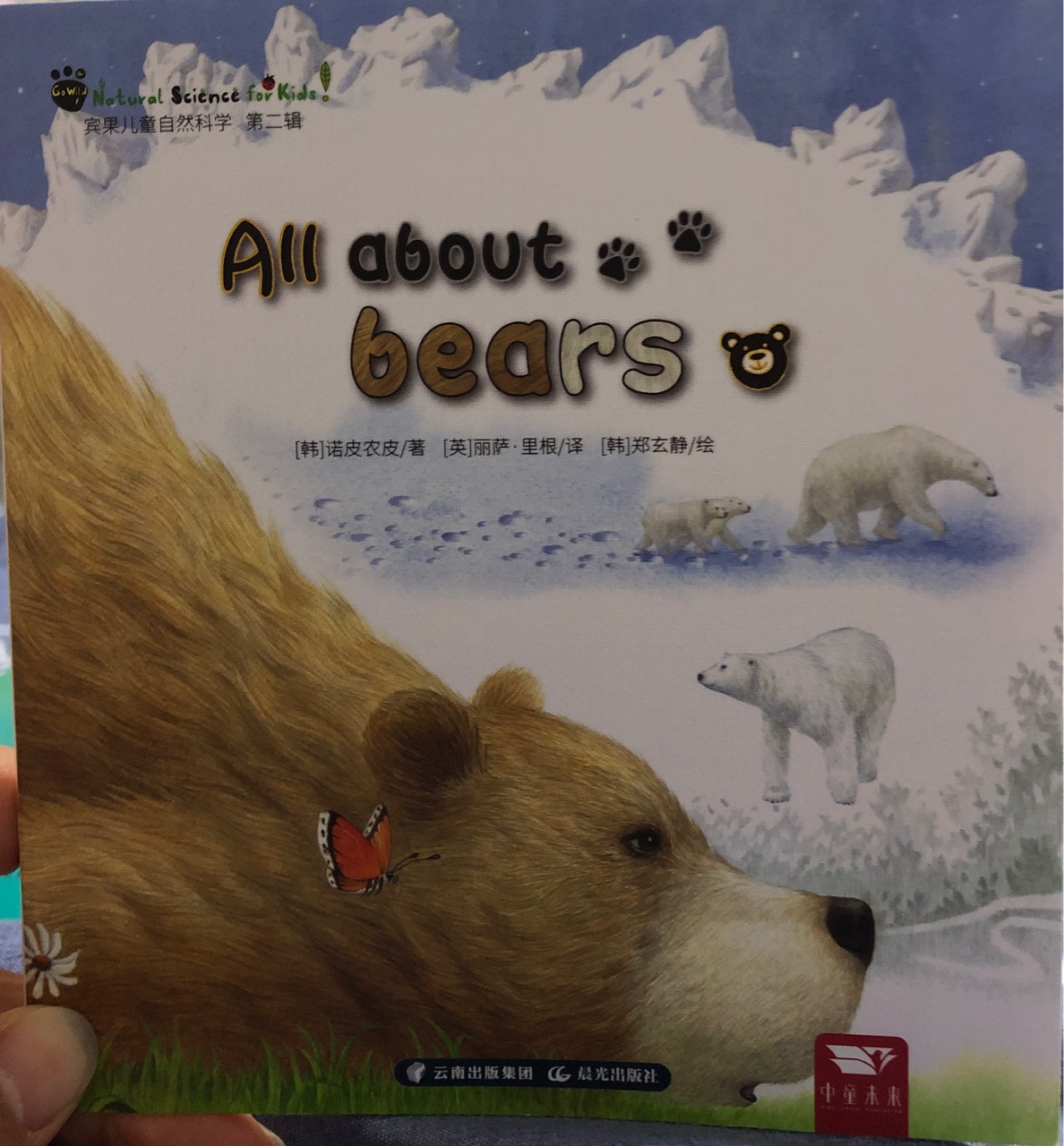 All about bears