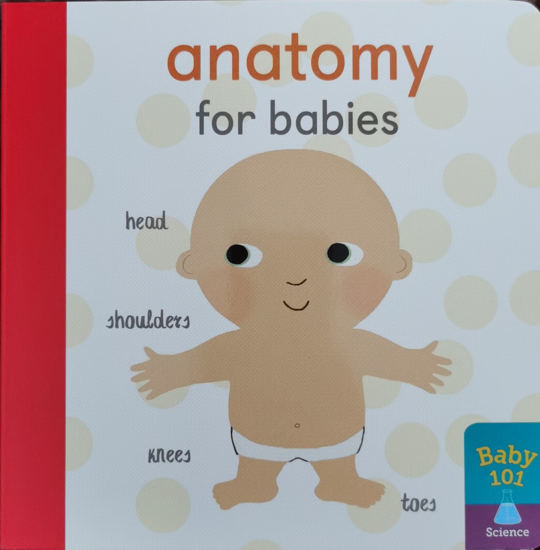 Anatomy for babies