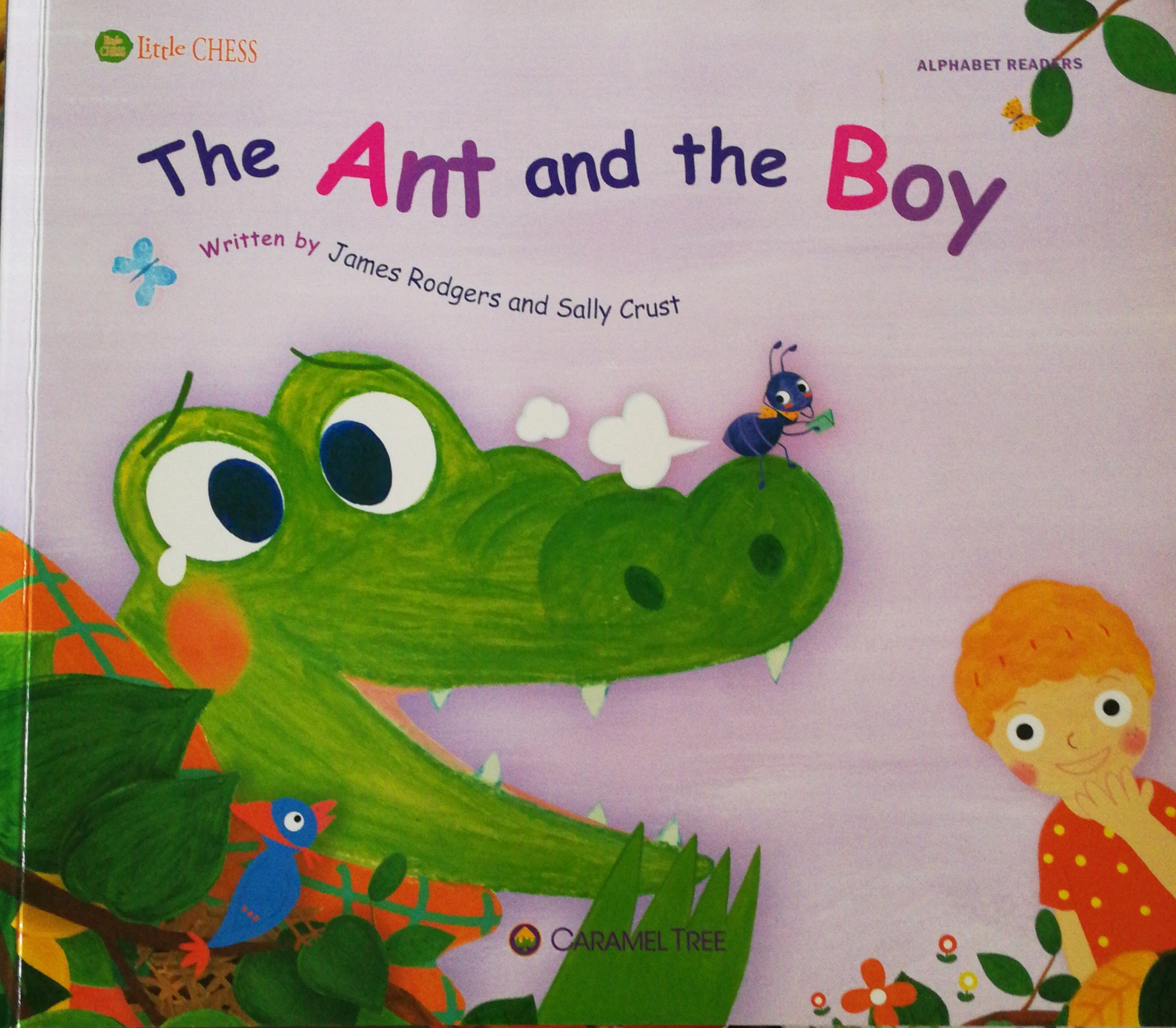 The Ant and the Boy