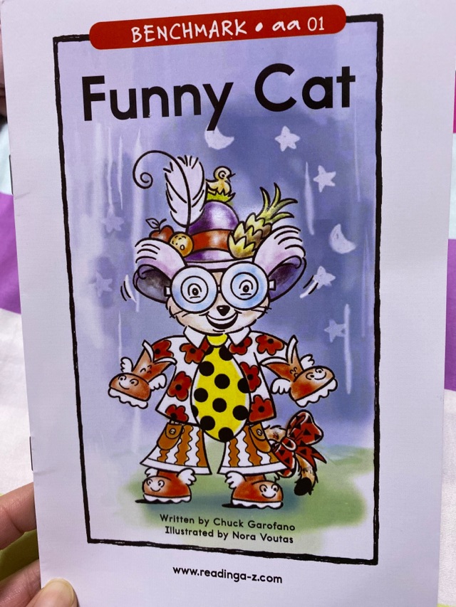 funny cat