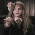 Rose potter