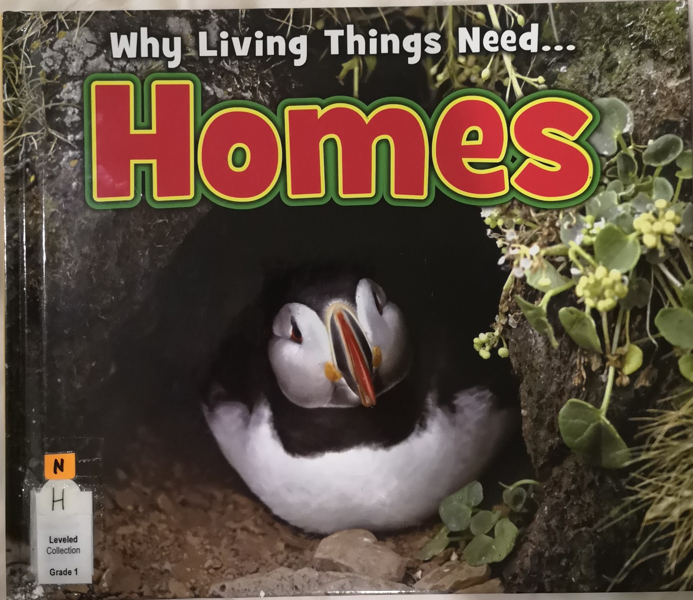 Why living things need...homes