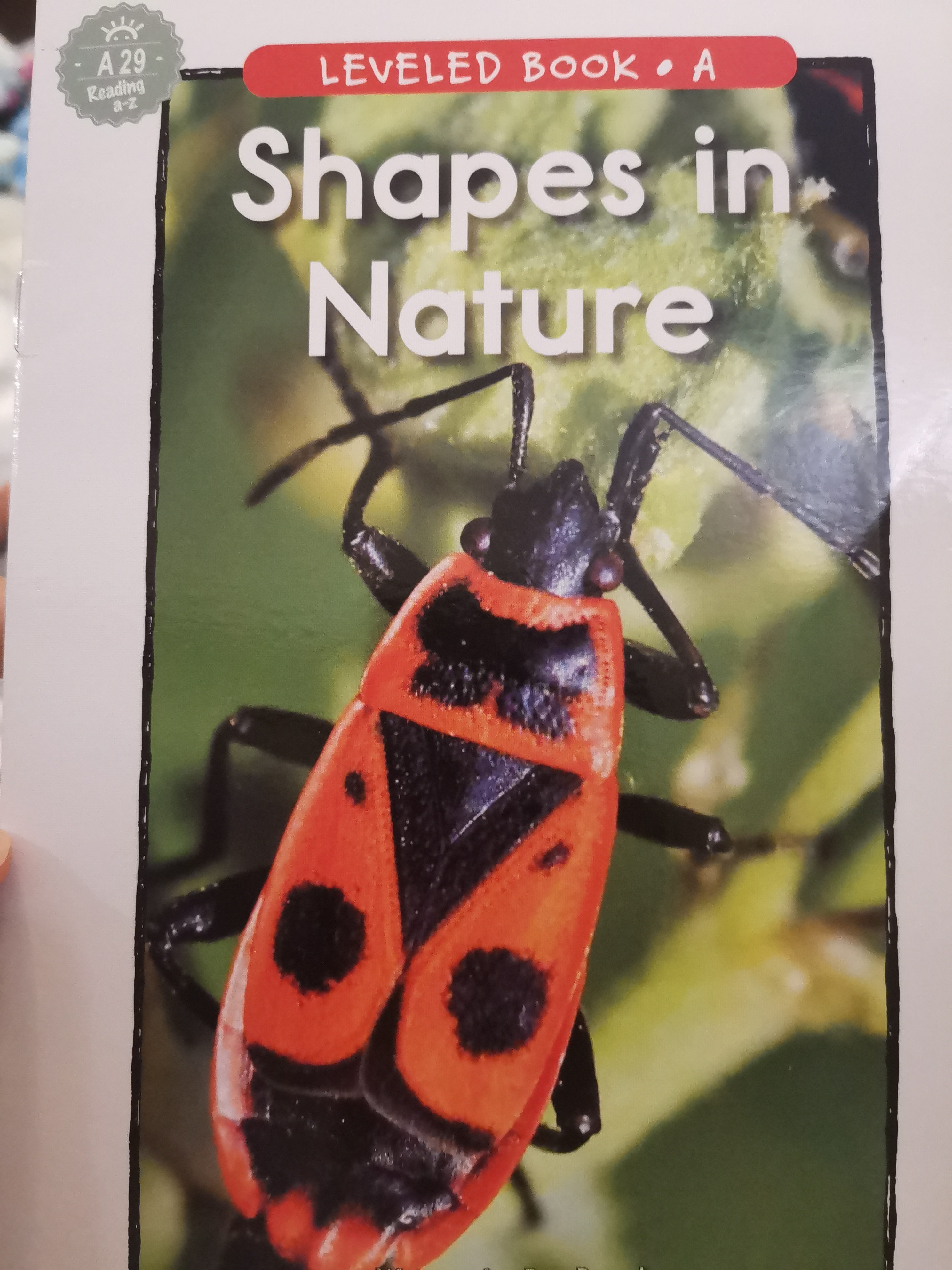 shaps in nature