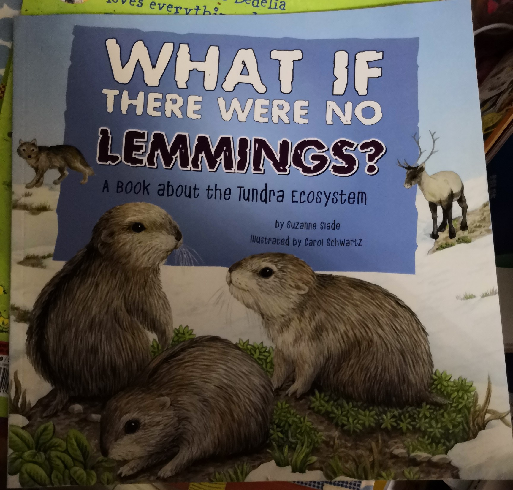 what if there were No lemmings?