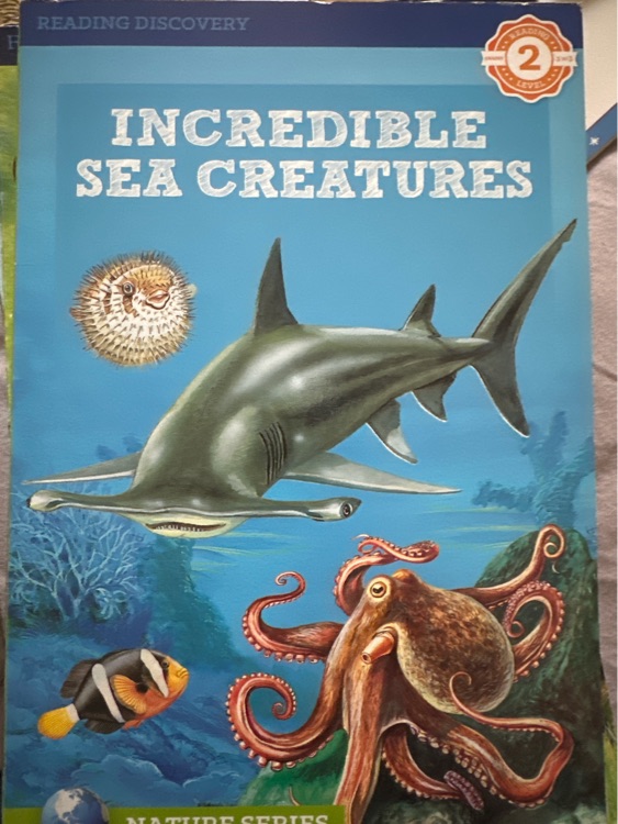 Incredible sea creatures