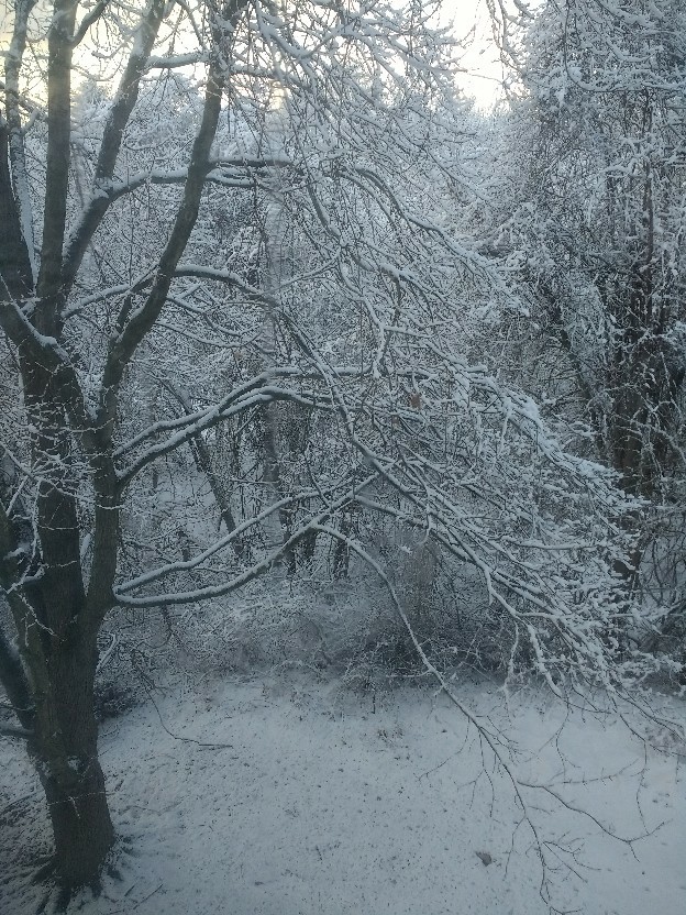 下雪放假