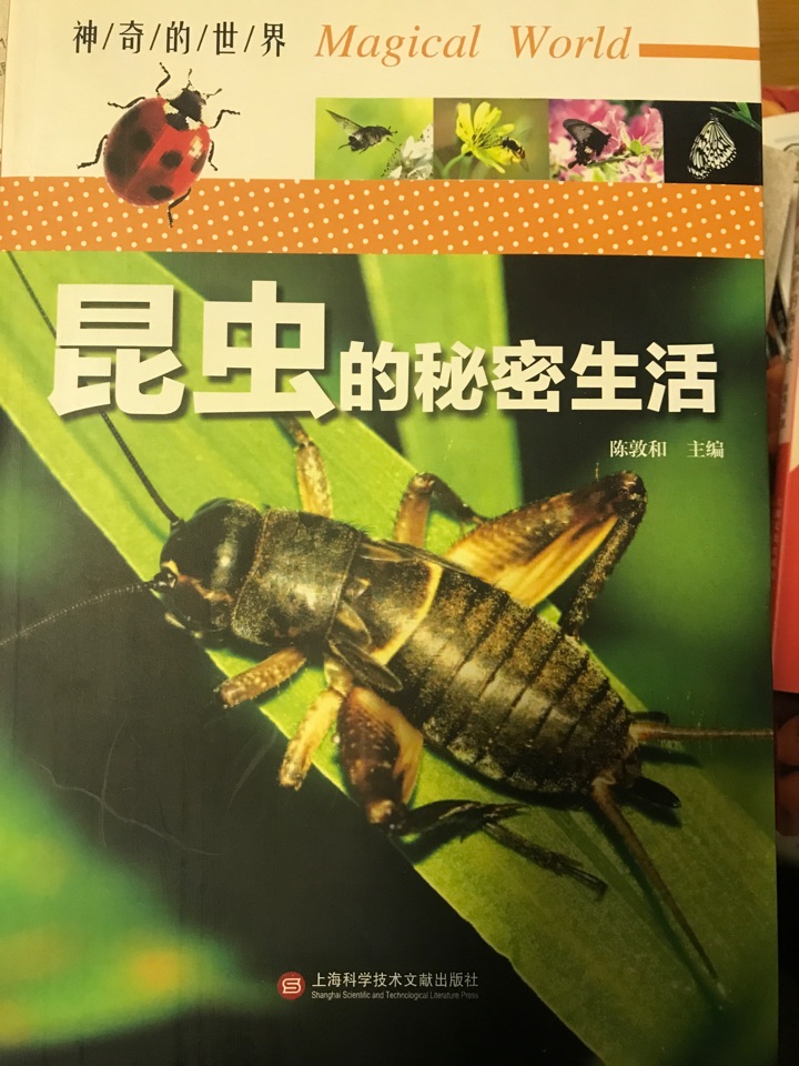 昆蟲的秘密生活