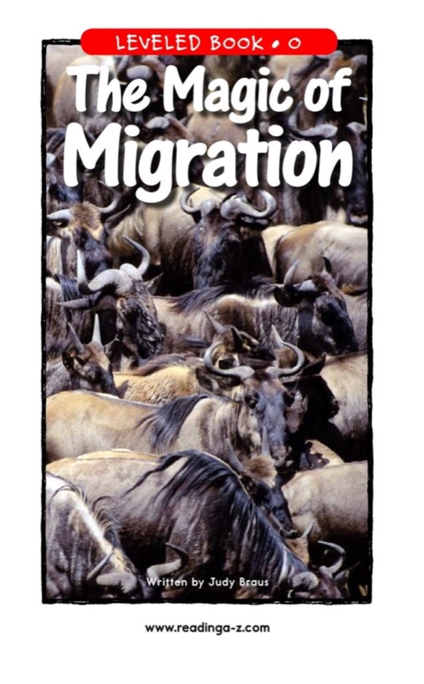 The magic of migration