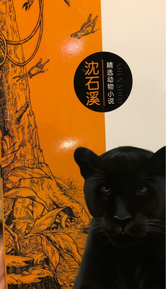 牡羊豹