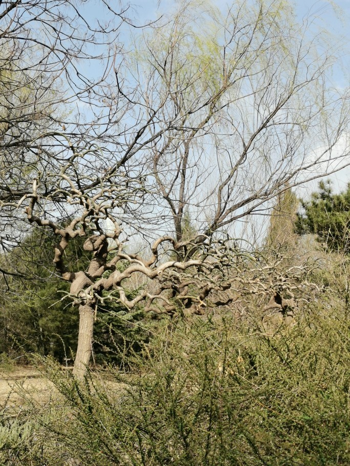 3月29日