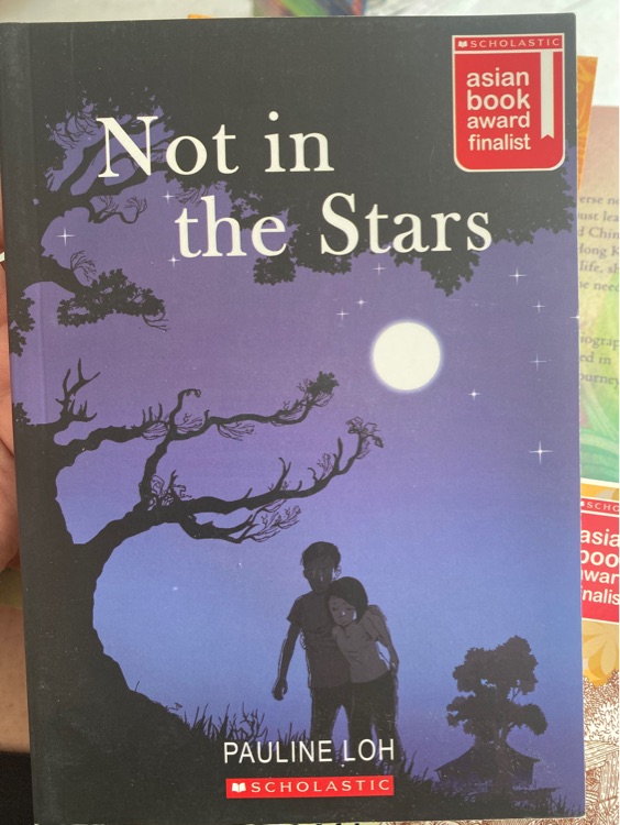 Asian Book Award Finalist 2014: Not In the S