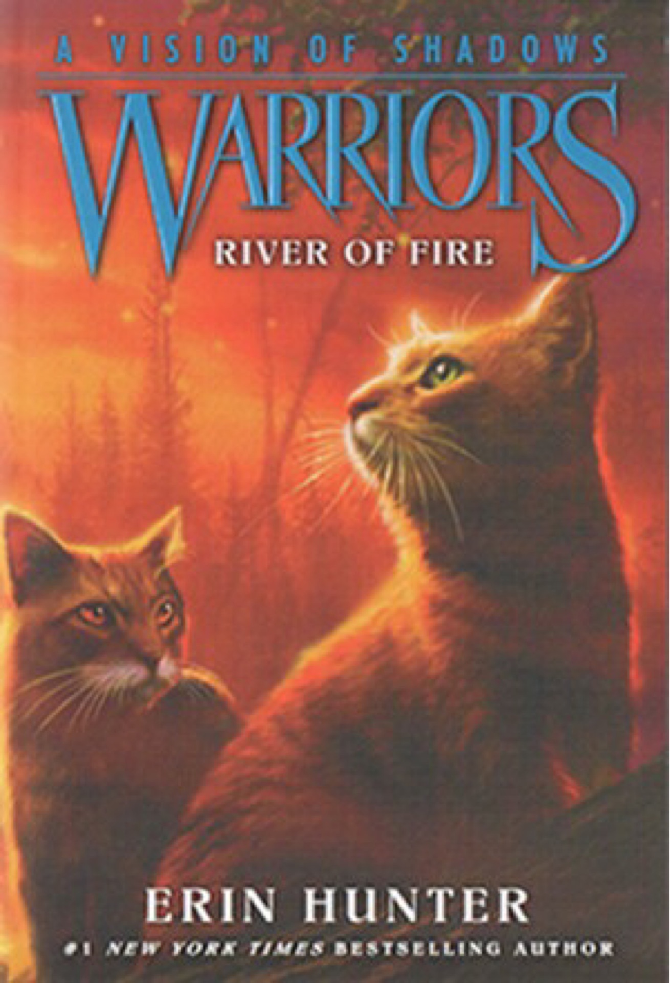 Warriors: A Vision of Shadows #5: River of Fire