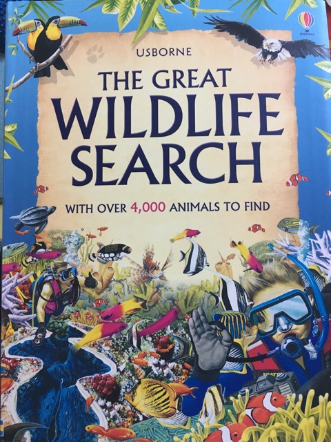 the  great wildlife search