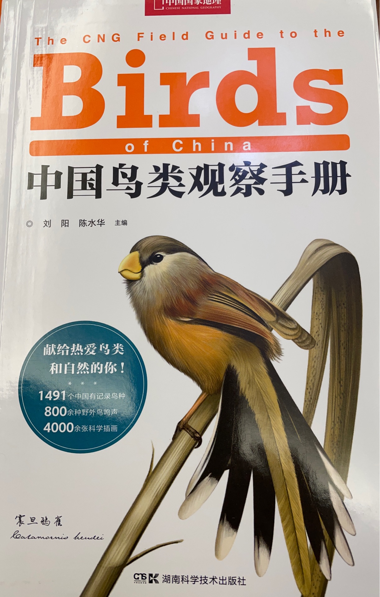 中國鳥類觀察手冊(cè)