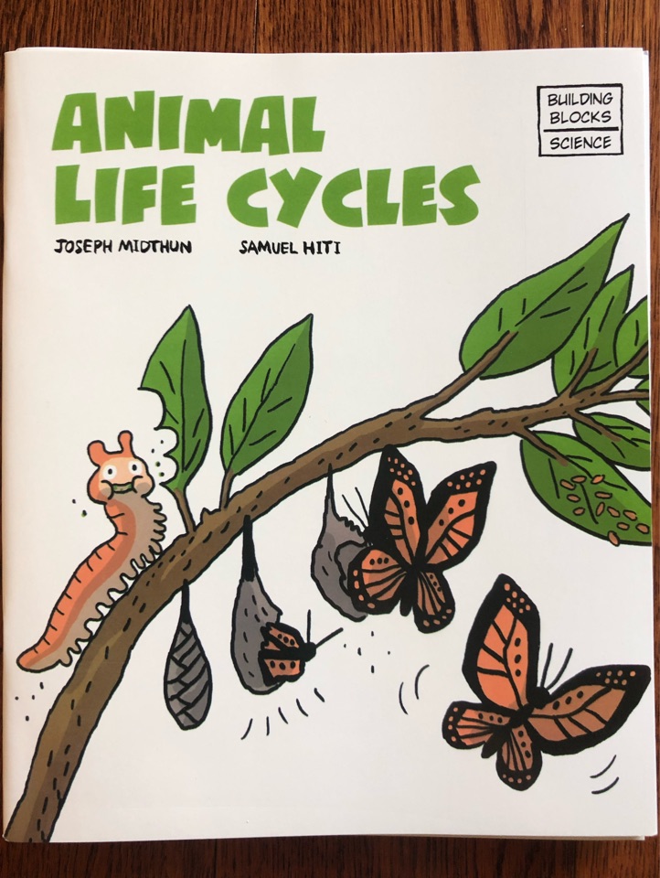 Animal Life Cycles