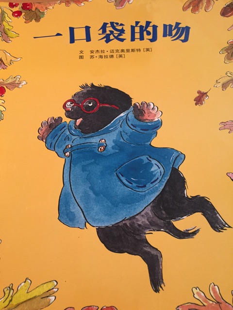 一口袋的吻