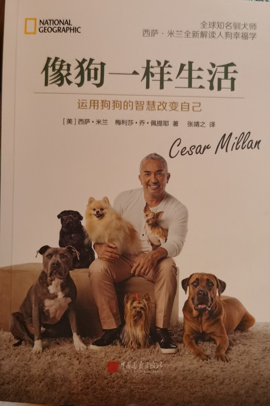 像狗一樣生活