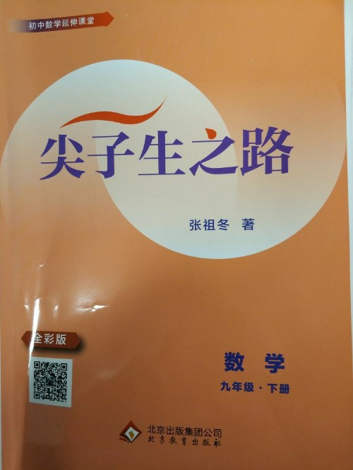 尖子生之路數(shù)學(xué)九年級下冊