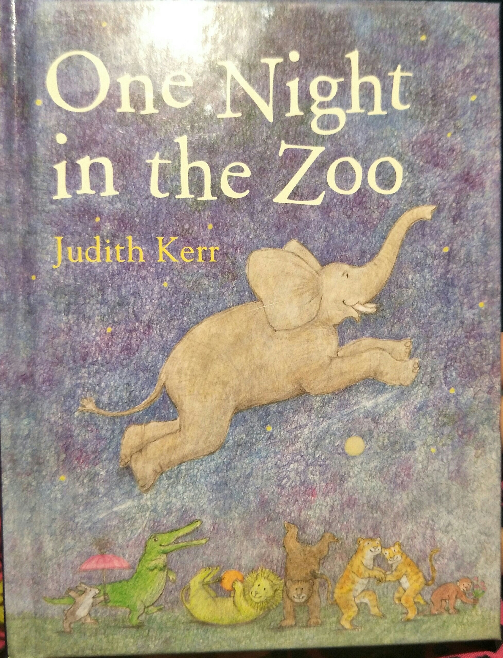 one night in the zoo