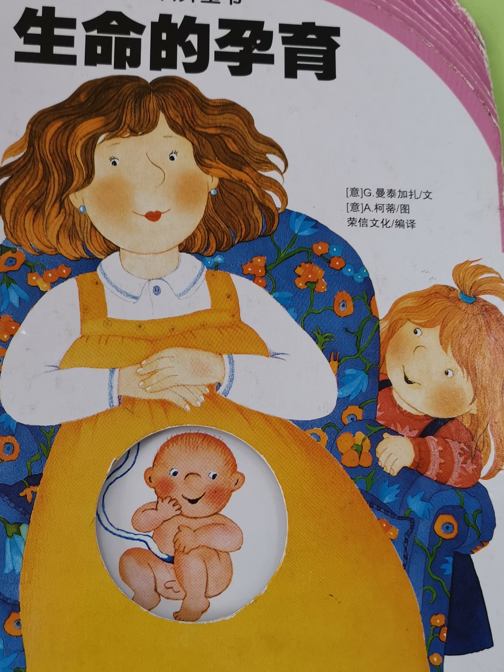 生命的孕育