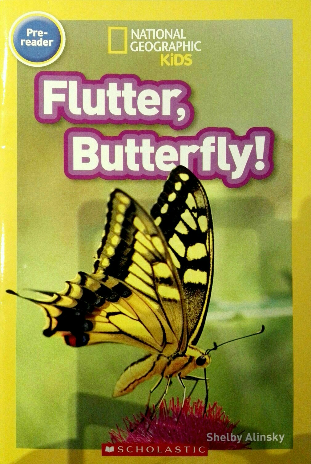 Flutter, Butterfly!