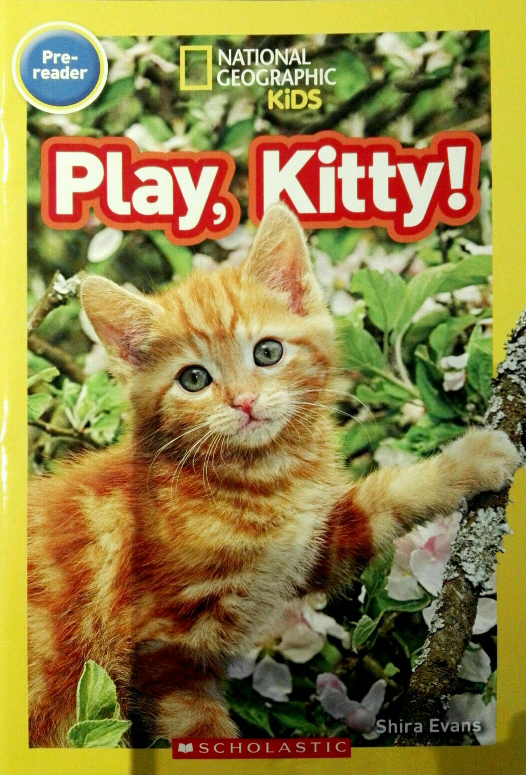 Play, Kitty!