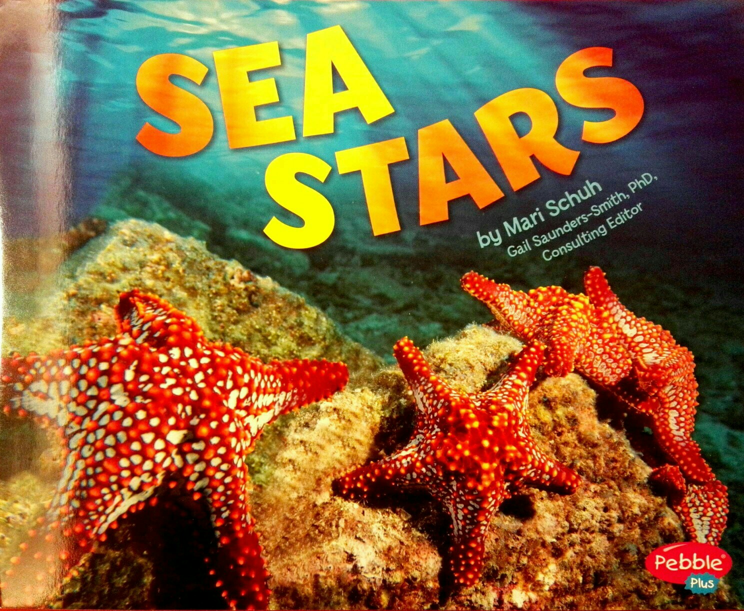 Sea Stars