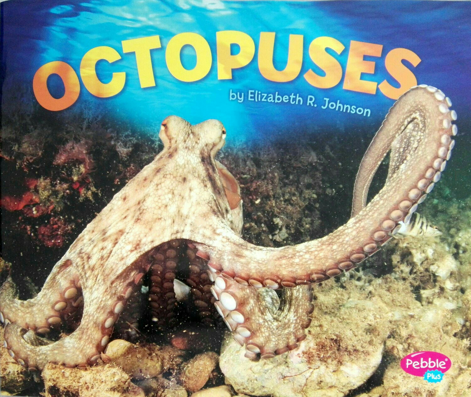 Octopuses