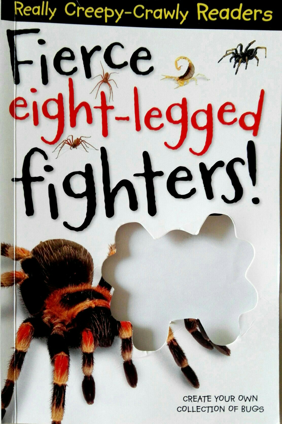 Fierce Eight-legged Fighters