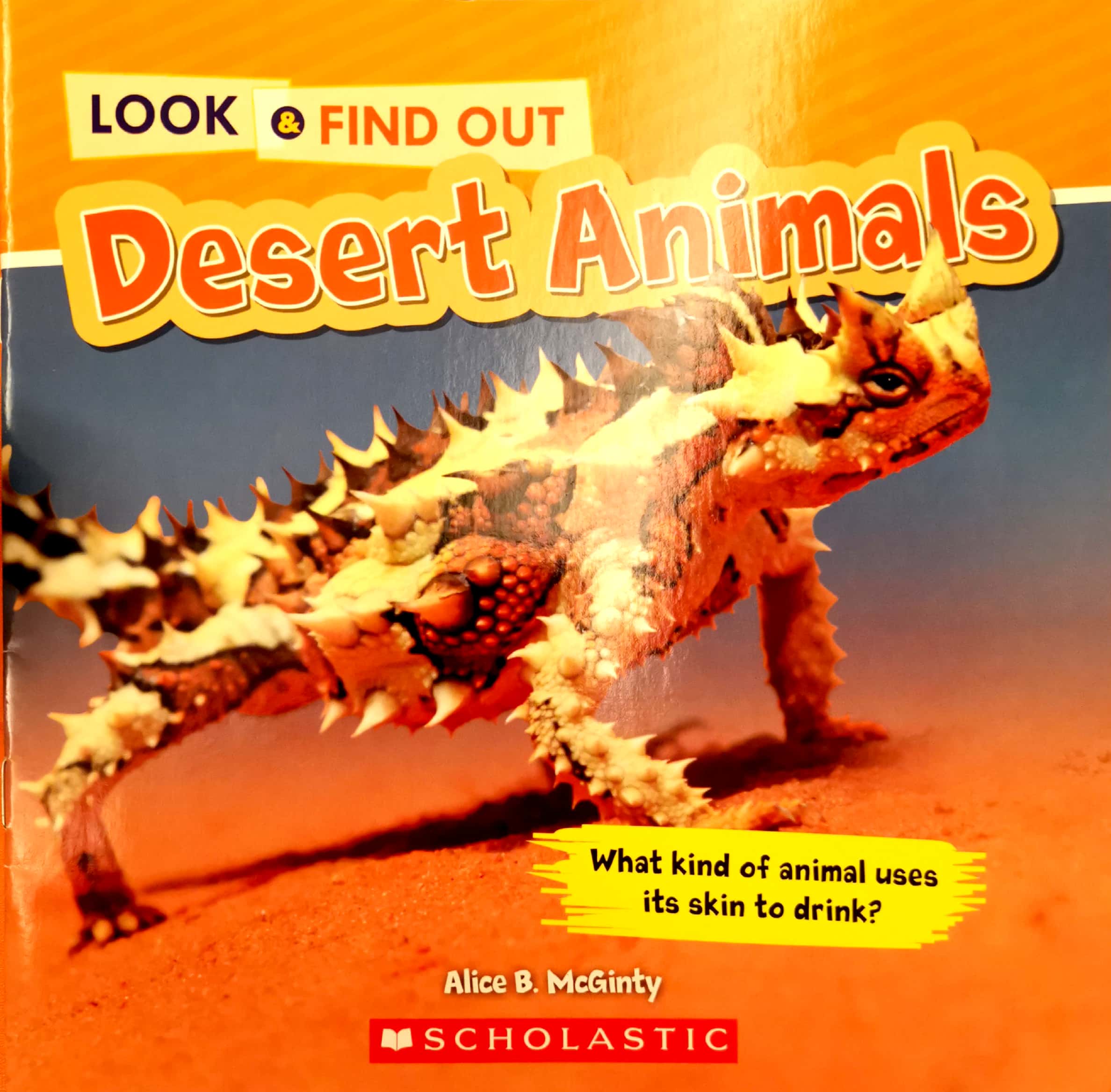 Look & Find Out Desert Animals