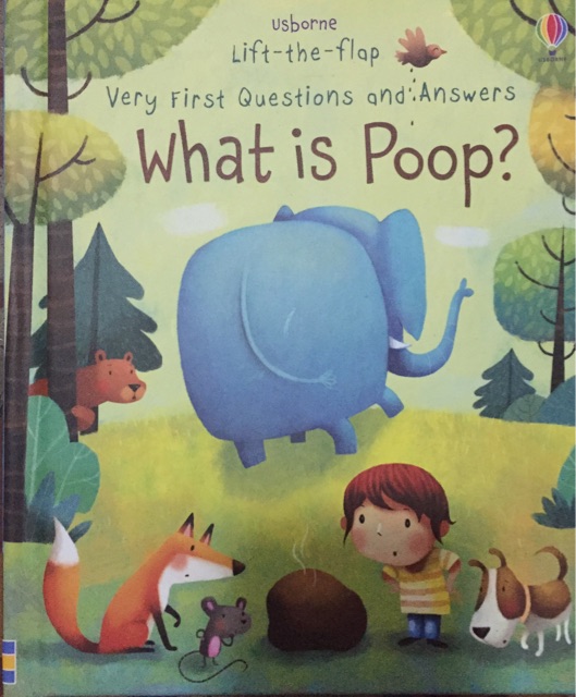 What is poop?