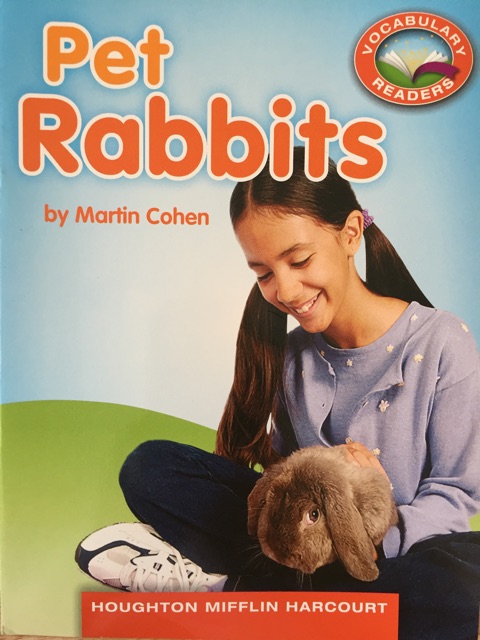 Pet Rabbits