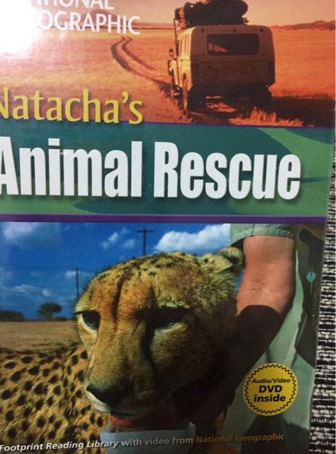 Animal Rescue