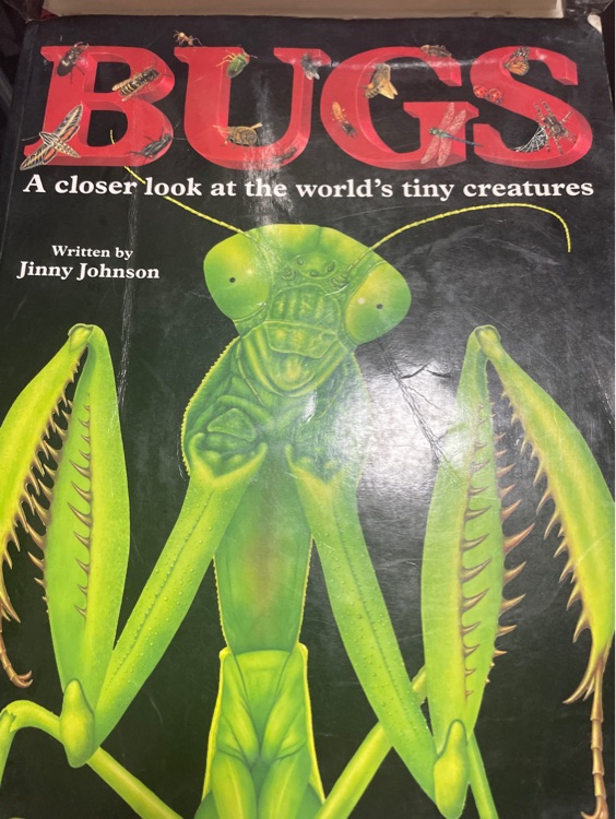 BUGS