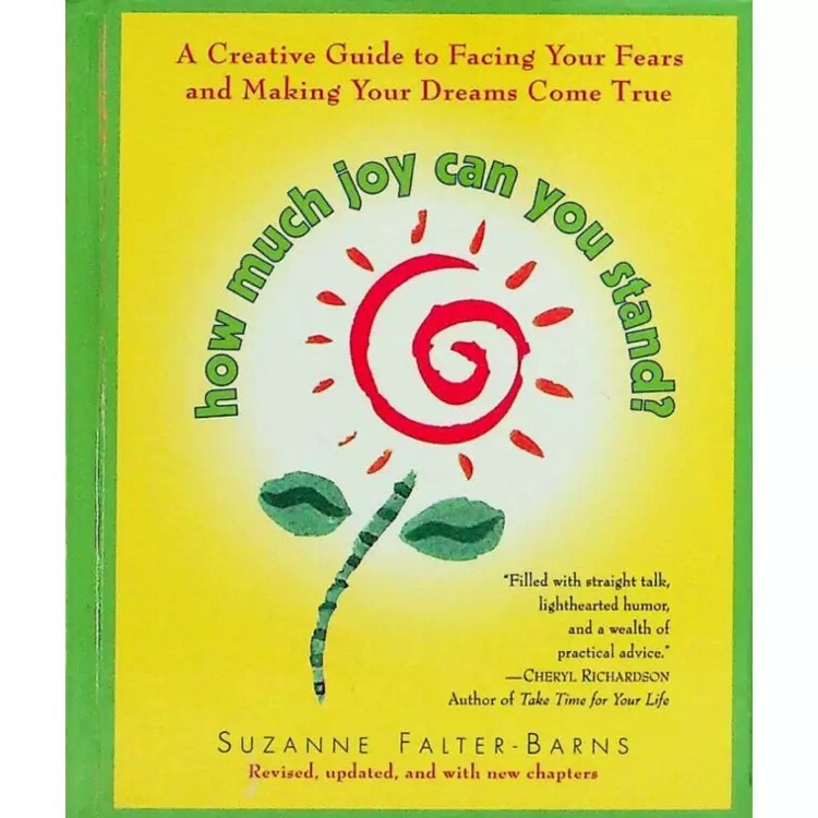 How Much Joy Can You Stand by Suzanne Falter Barns