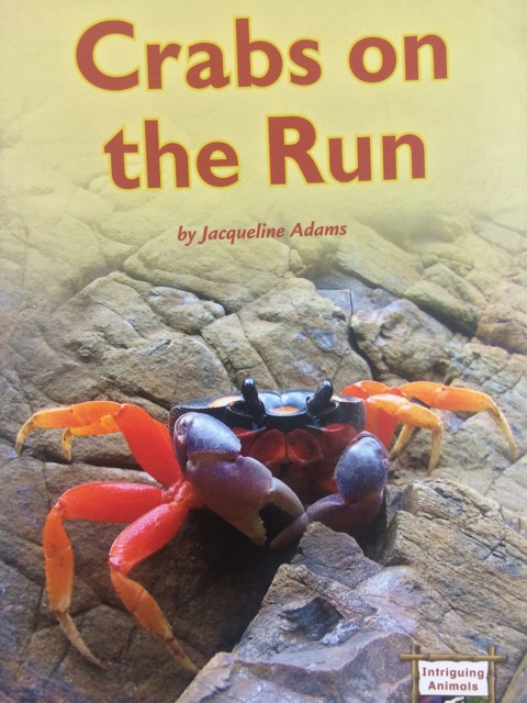 Crabs on the Run