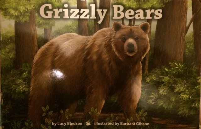 Grizzly Bears