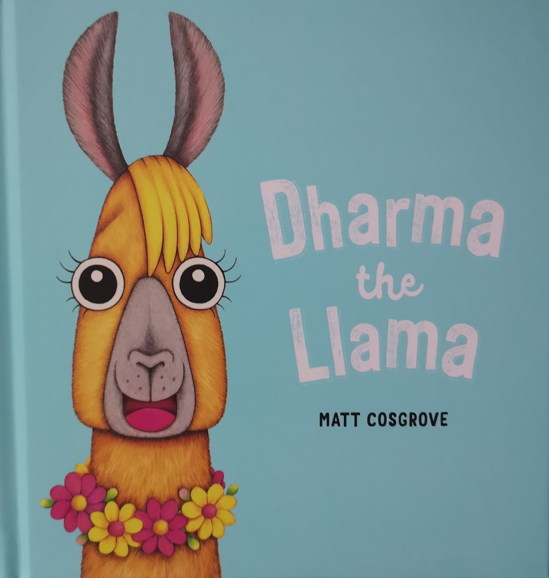 Dharma the Llama