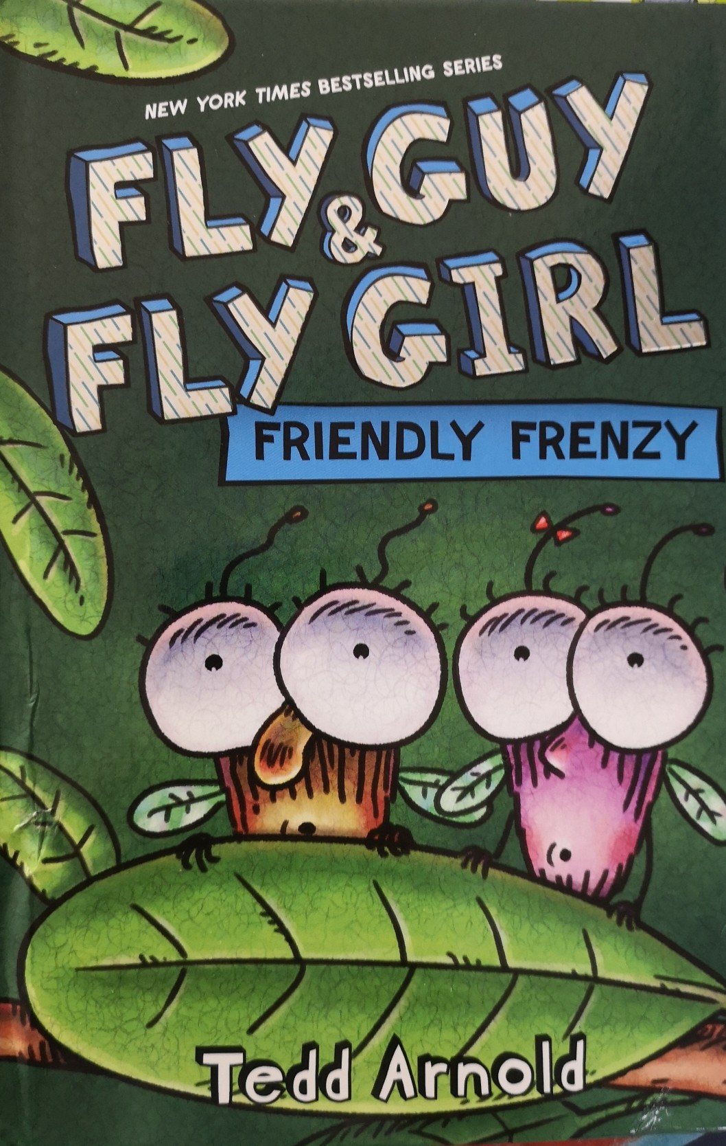 Fly Guy & Fly Girl Friendly Frenzy