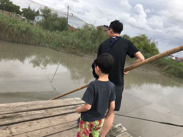 膽小
