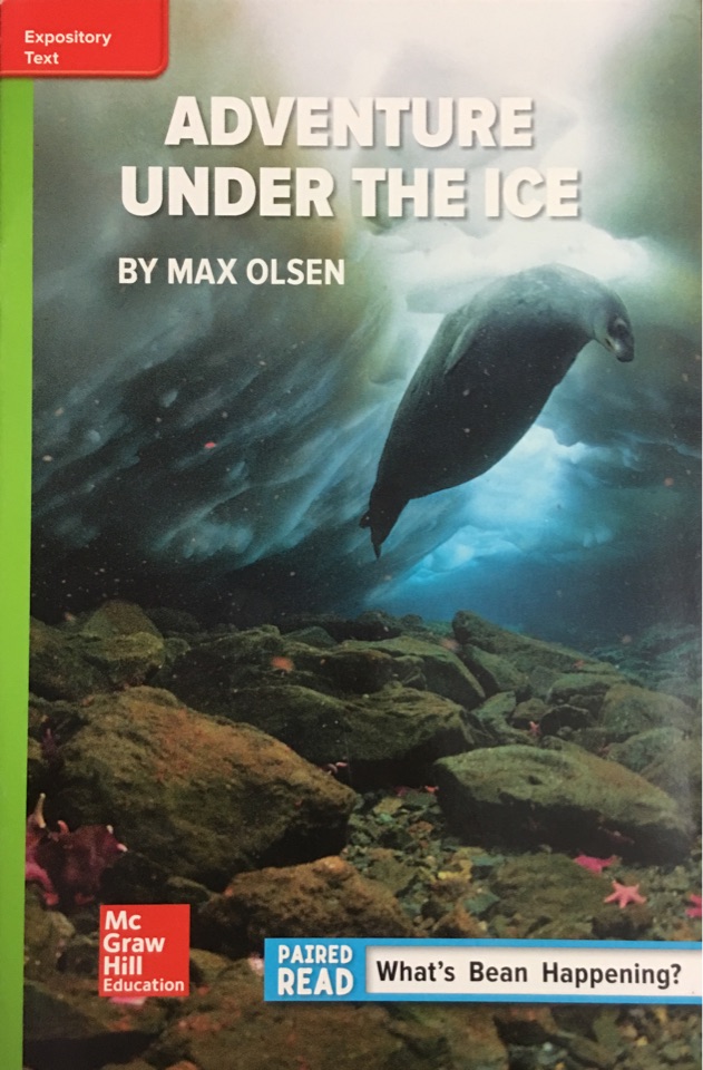 Adventure Under The Ice