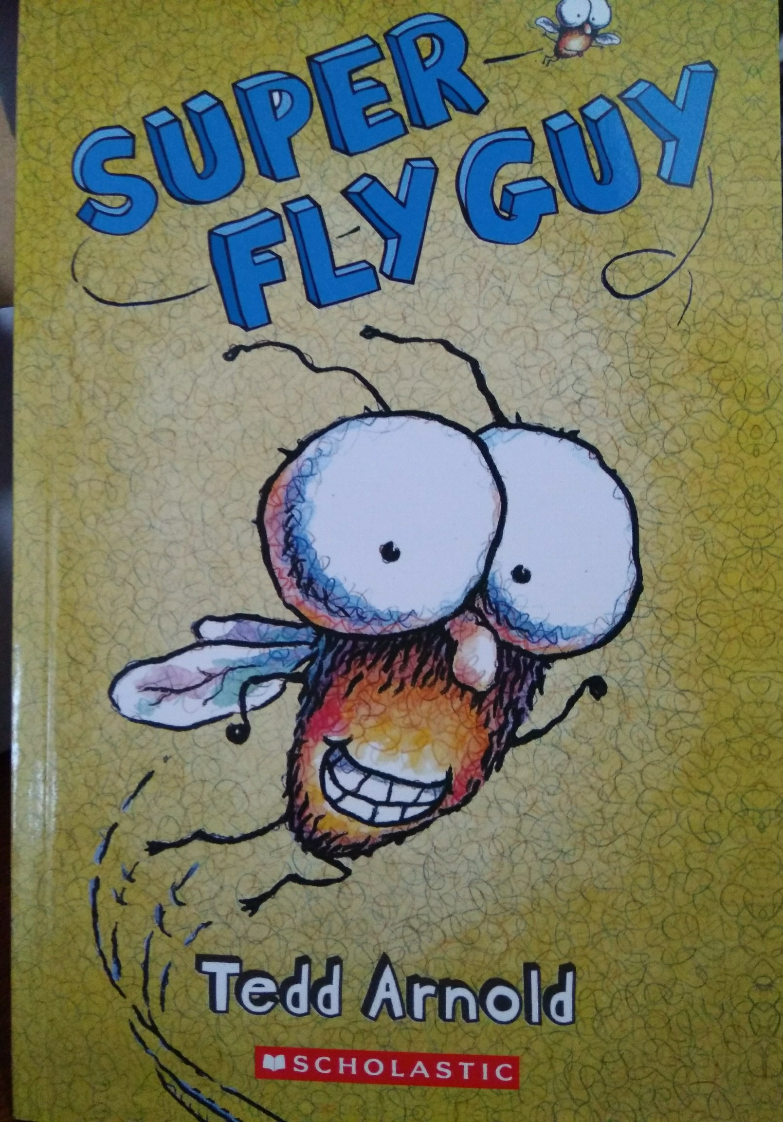 Super fly guy