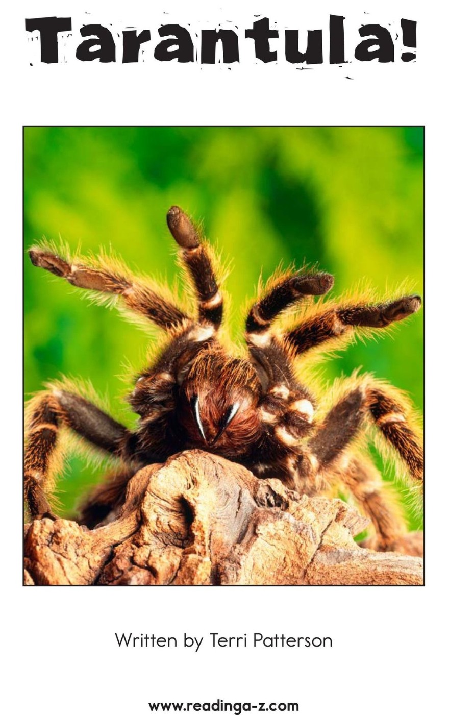 Tarantula