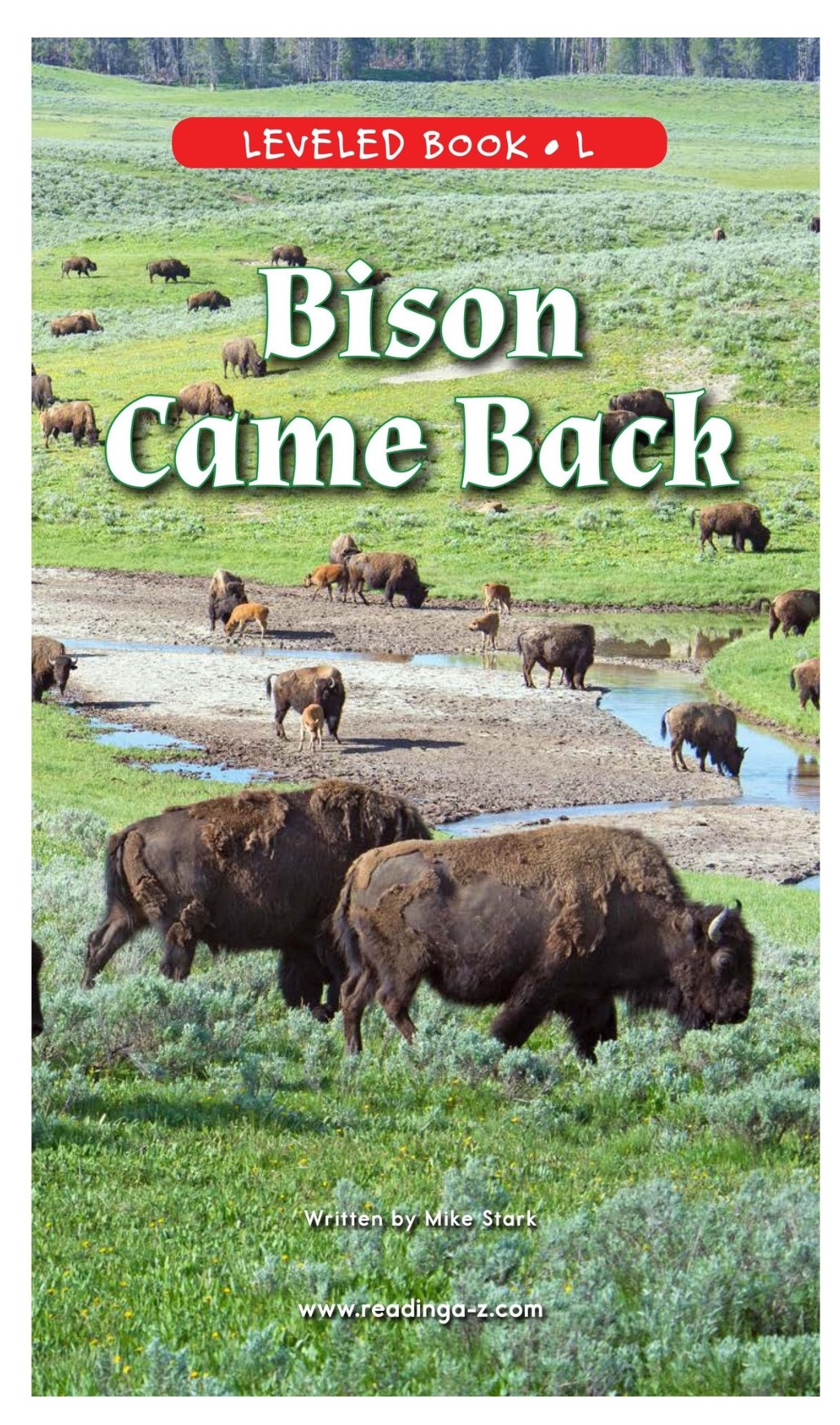 Bison Came Back (RAZ L)